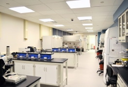 A view of the laboratory area with workstations and equipment